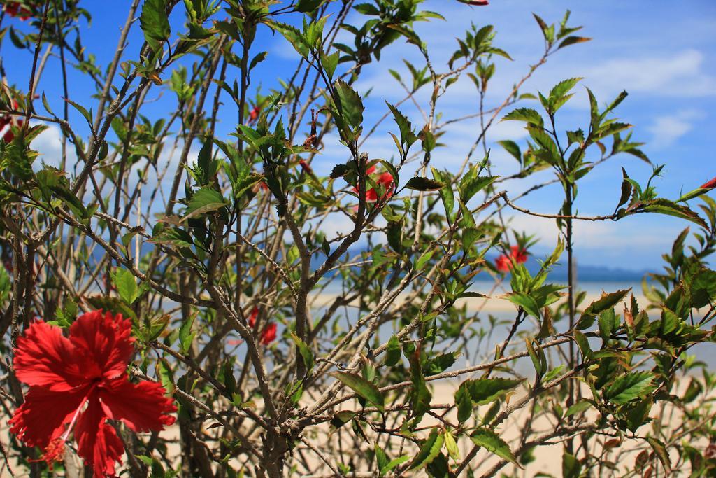 Morning Star Resort Bantaj Kültér fotó